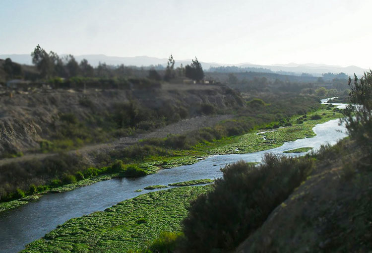 Amuprohu